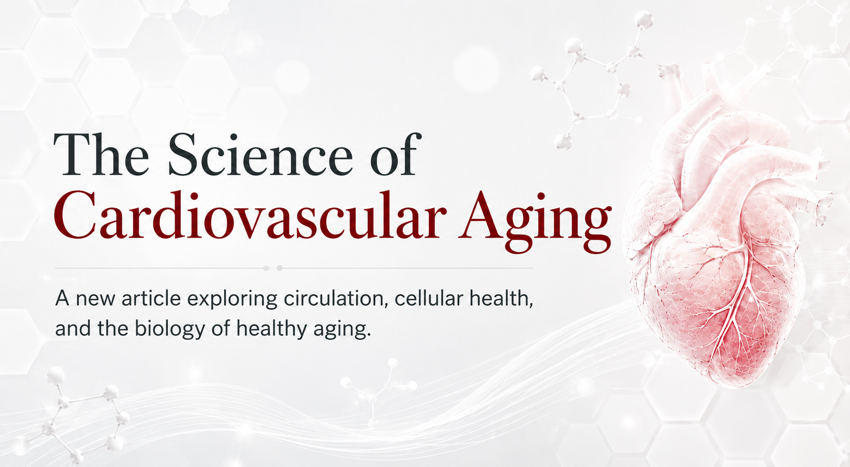 The Science of Cardiovascular Aging