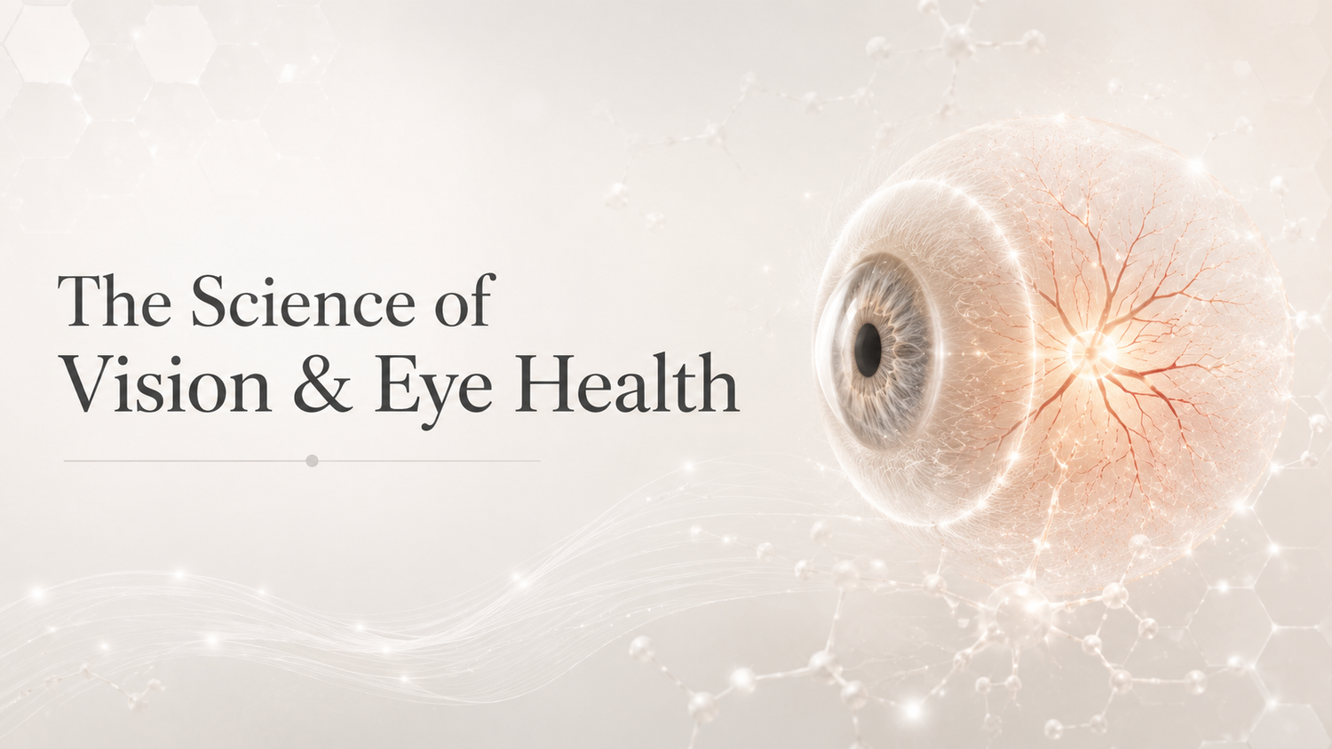 The Science of Vision & Eye Health