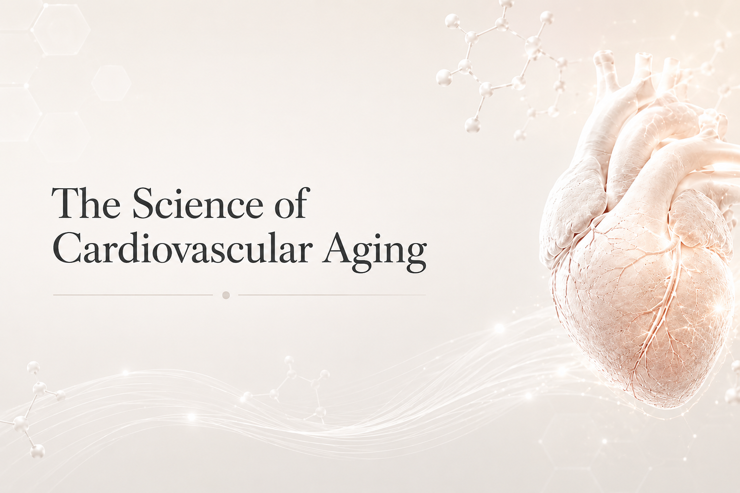 The Science of Cardiovascular Aging