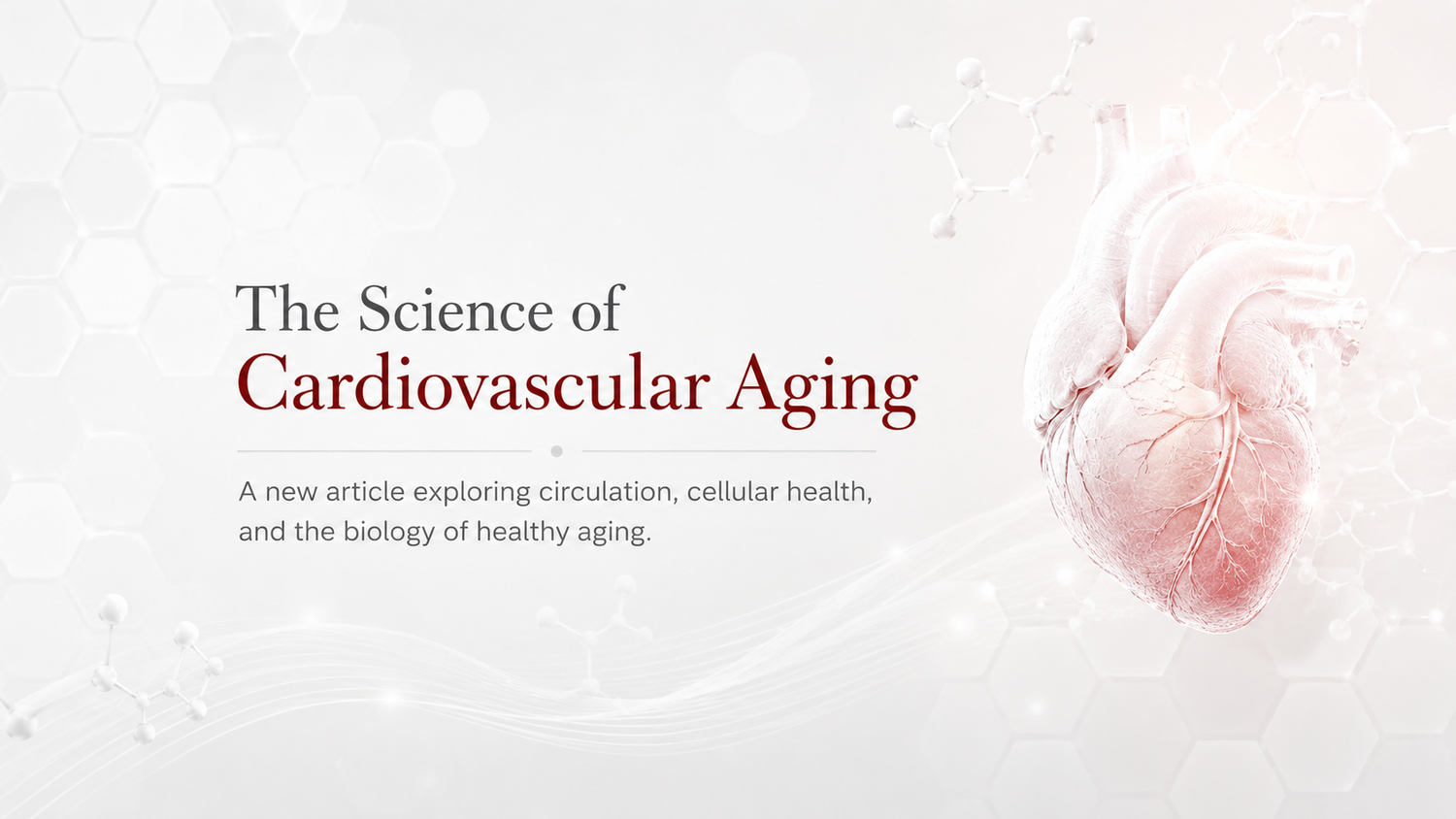 The Science of Cardiovascular Aging